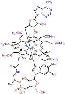 Adenosylcobalamin is a cofactor required by several crucial enzymatic reactions that take place in the human body.  It is a rare example of a metal (cobalt) alkyl in biology.