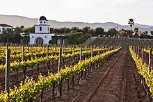 Valle de Guadalupe Hot-summer mediterranean climate (Csa)