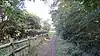 Path in Ainslie Wood