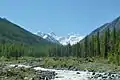 Altai Mountains