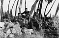 Members of Harel Brigade in Al-Burayj 1948