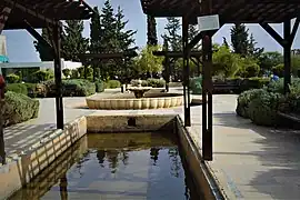 A man–made pond in campus