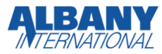 The word "Albany" in bolded sans-serif capitals of even stroke weight, with the right leg of the "A" becoming a descender, forming the diagonal of the "N", in the word "International" below, oblique in a much more lightweight stroke. Both words are rendered in dark blue.