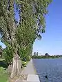 Albert Park Lake, looking due east past The Point to Gunn Island