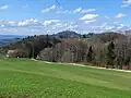 Hiking trail from Felsenegg to Uetliberg as seen near Balderen.