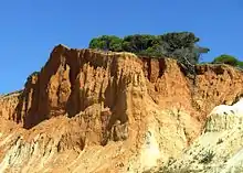 A sandy rock face in the sun topped by a line of trees