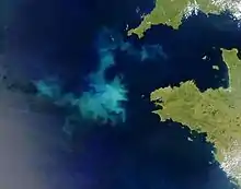 The lighter coloring of irregular patches in the Atlantic Ocean off France shows where algae are blooming.