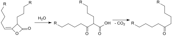 Hydrolyse von Alkylketendimeren zu beta-Ketosäuren und Decarboxylierung zum Keton