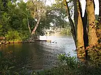 A large body of water between two tree-lined shores, with a bridge in the background.