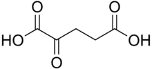 α-Ketoglutarate