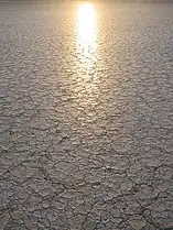 Setting sun reflected off the playa