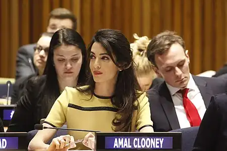 Amal Clooney, Human Rights Barrister