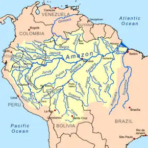 The basin of the Amazon River is a system made up of many tributary streams. The streams shown on the map besides the Amazon are tributaries of the Amazon.