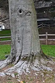 Stump with carving