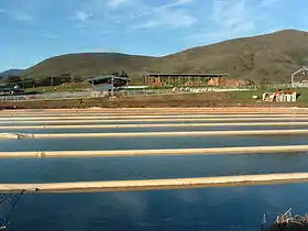 An anaerobic lagoon at California Polytechnic State University's dairy