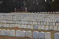 detail of graves