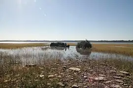 Private Property, Duck Cache Launch