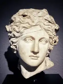 Head of Apollo