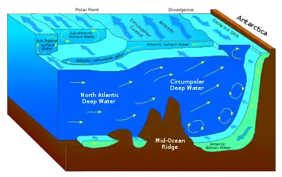 Antarctic bottom water