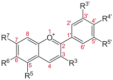 Anthocyanin, a red to blue dye depending on functional groups and pH