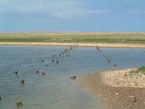 Remains of WWII anti-tank defence on Salthouse marsh