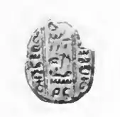 Scarab seal of 'Aper-'Anati made of glazed steatite. London, Petrie Museum.