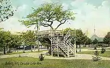 A postcard showing an image of an apple tree in Canobie Lake Park.