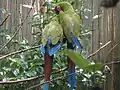 Resting in the Tropical Zone of the Montreal Biodome