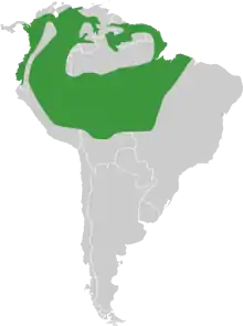 Northern South America, excluding the Andes mountains and the Brazil/Venezuela border