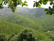 Arasbaran forests in the vicinity of Ahar (Kaleibar county)