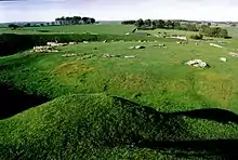 grassy area with a raised circular area with stones lying in a roughly circular pattern