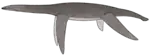 Reconstruction of a left-facing plesiosaur.