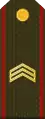 ՍԵՐԺԱՆՏSerzhant(Armenian Ground Forces)