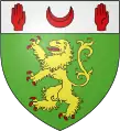 Arms of McCartan, a branch of the Magennis