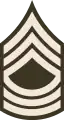 E-8 insignia