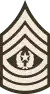 Command Sergeant Major