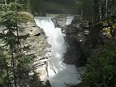 Flowing through the Athabasca Falls