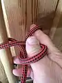 Falconer's  knot 3 : End bight scissored between fingers to thumb loop