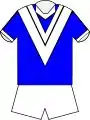 The Traditional "V" jersey