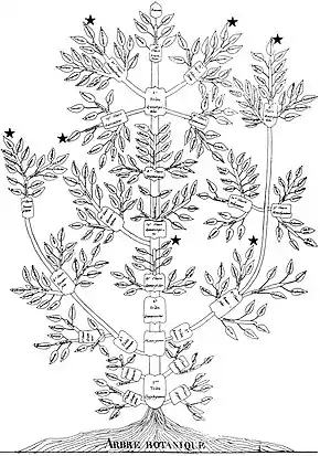 Augustin Augier's 1801 Arbre botanique ("Botanical Tree")