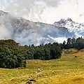 Auli Bugyal Greenery