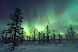 Aurora in Novy Urengoy