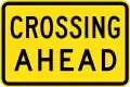 Old version of Crossing Ahead