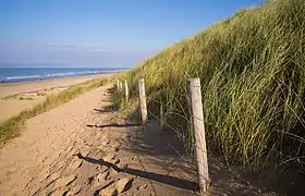 Autumn Beach, Wassenaar