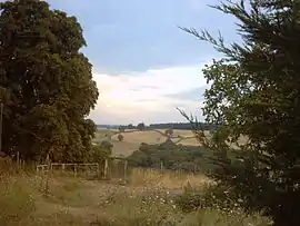 The landscape of Montcombroux-les-Mines