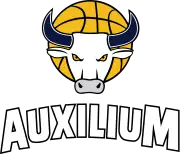 Auxilium Torino logo