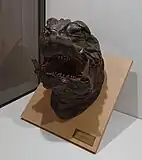 The model of Avant Gamera's head.