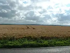 Site of the battle of Azincourt