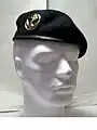 Beret of all the French Army's Troupes de marine, except paratroopers.