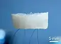 An aerogel held up by hair. (Scientific Reports)